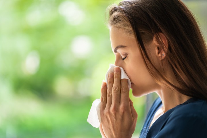 Nové bývanie -  alergia